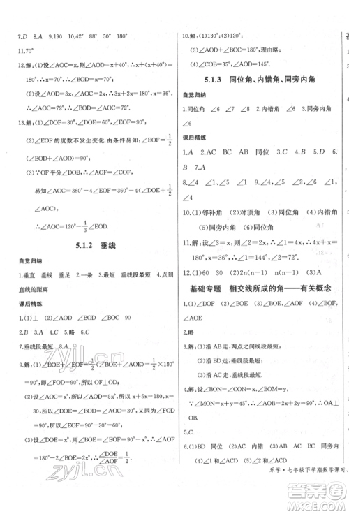 长江少年儿童出版社2022乐学课堂课时学讲练七年级数学下册人教版参考答案