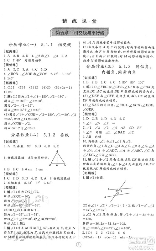 山东友谊出版社2022初中同步练习册提优测试卷七年级数学下册人教版答案