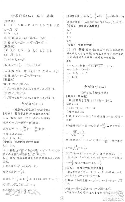 山东友谊出版社2022初中同步练习册提优测试卷七年级数学下册人教版答案