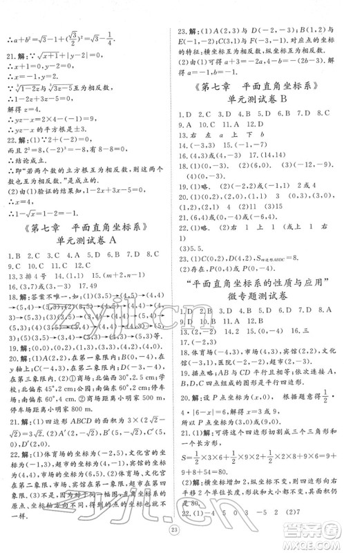 山东友谊出版社2022初中同步练习册提优测试卷七年级数学下册人教版答案