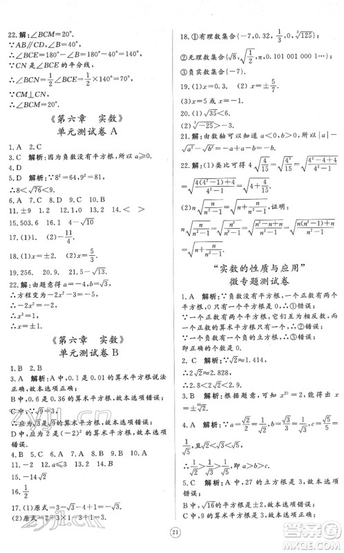 山东友谊出版社2022初中同步练习册提优测试卷七年级数学下册人教版答案