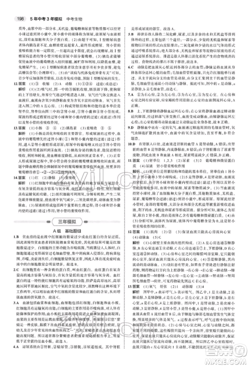 首都师范大学出版社2022年5年中考3年模拟中考生物人教版参考答案