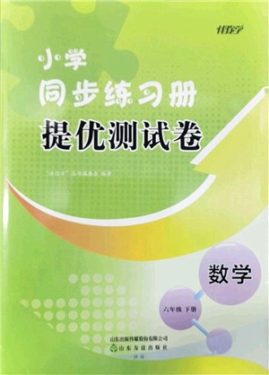 山东友谊出版社2022小学同步练习册提优测试卷六年级数学下册人教版答案