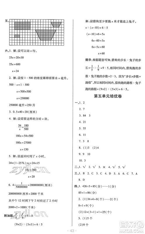 陕西师范大学出版总社2022黄冈同步练一日一练六年级数学下册RJ人教版答案