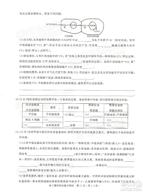 2022年河南省六市高三第一次联合调研检测理科综合试题及答案