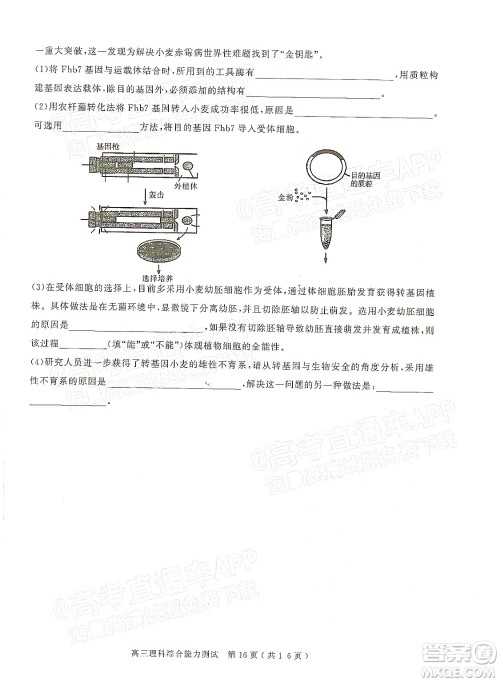 2022年河南省六市高三第一次联合调研检测理科综合试题及答案