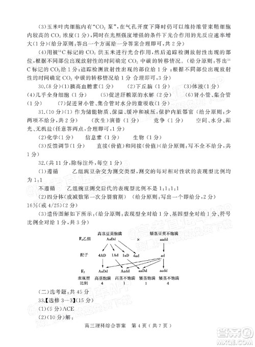 2022年河南省六市高三第一次联合调研检测理科综合试题及答案