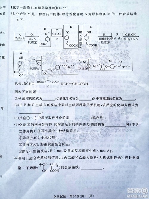 湛江市2022年普通高考测试一化学试题及答案