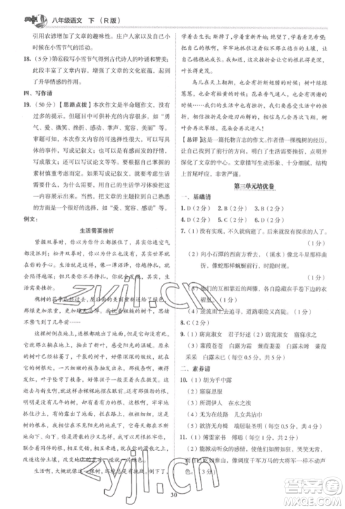 陕西人民教育出版社2022典中点综合应用创新题八年级语文下册人教版参考答案