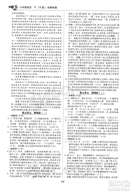 吉林教育出版社2022典中点综合应用创新题八年级语文下册人教版安徽专版参考答案