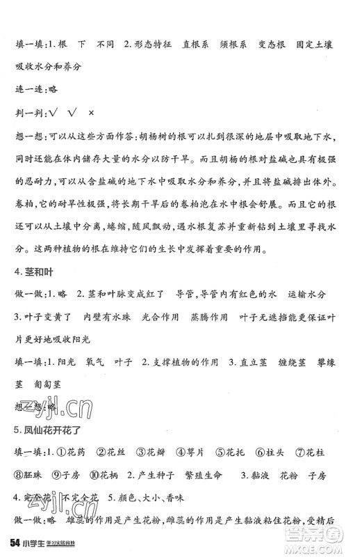 四川教育出版社2022新课标小学生学习实践园地四年级科学下册教科版答案