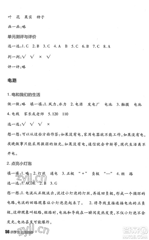 四川教育出版社2022新课标小学生学习实践园地四年级科学下册教科版答案