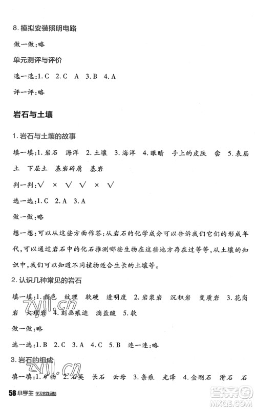 四川教育出版社2022新课标小学生学习实践园地四年级科学下册教科版答案