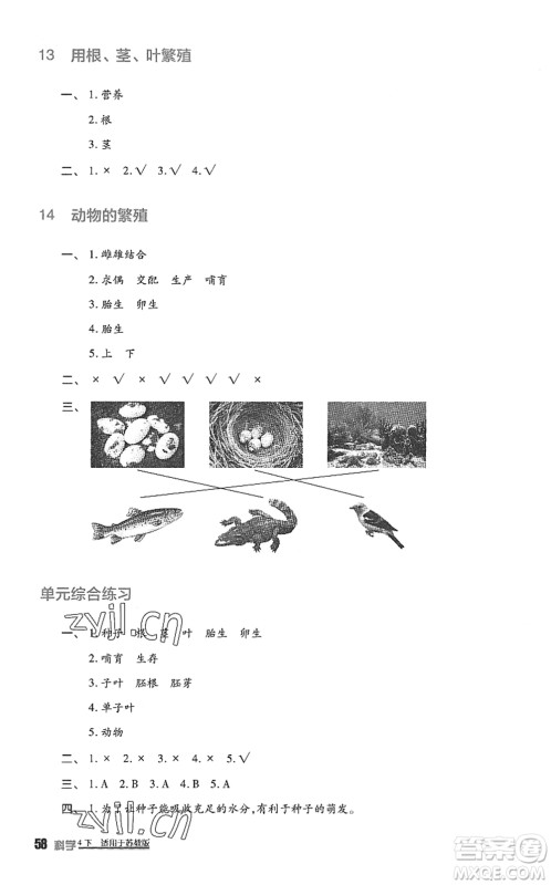 四川教育出版社2022新课标小学生学习实践园地四年级科学下册苏教版答案