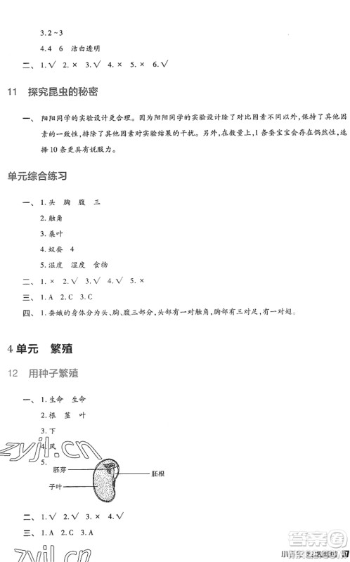 四川教育出版社2022新课标小学生学习实践园地四年级科学下册苏教版答案