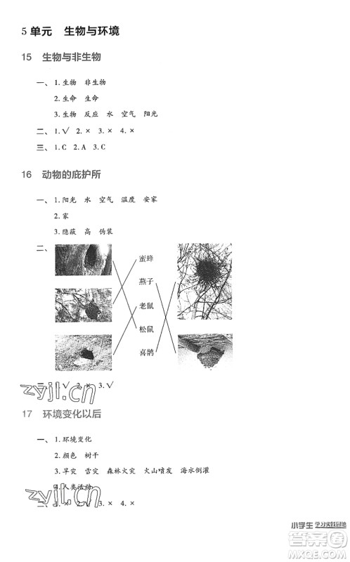 四川教育出版社2022新课标小学生学习实践园地四年级科学下册苏教版答案