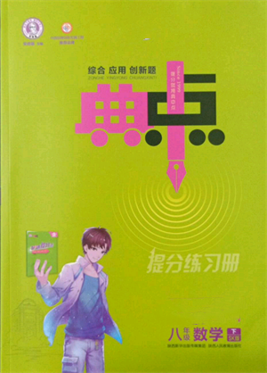 陕西人民教育出版社2022典中点综合应用创新题八年级数学下册苏科版参考答案