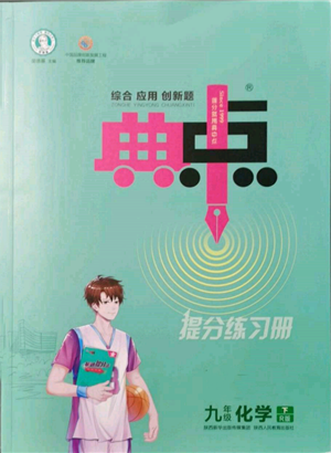 陕西人民教育出版社2022典中点综合应用创新题九年级化学下册人教版参考答案