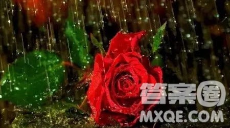 雨中的____为题作文400字 以雨中的____为题的作文400字