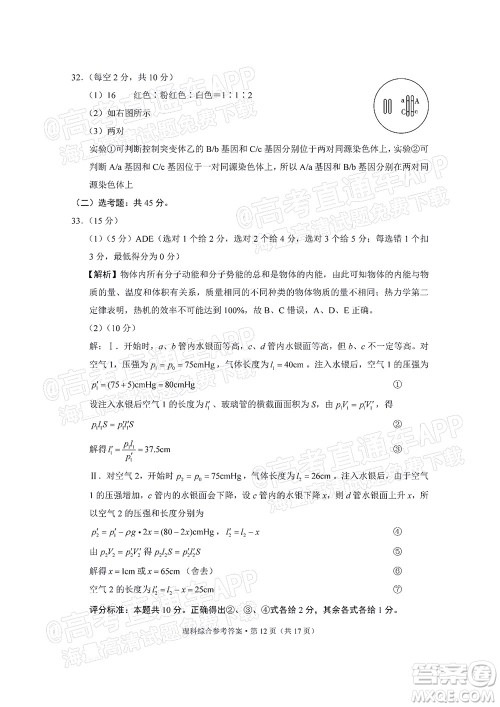 2022届3+3+3高考备考诊断性联考卷二理科综合试题及答案 2022届3+3+3高考备考诊断性联考卷二理科综合试题及答案