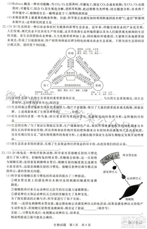 2022届高三第二次T8联考生物试题及答案