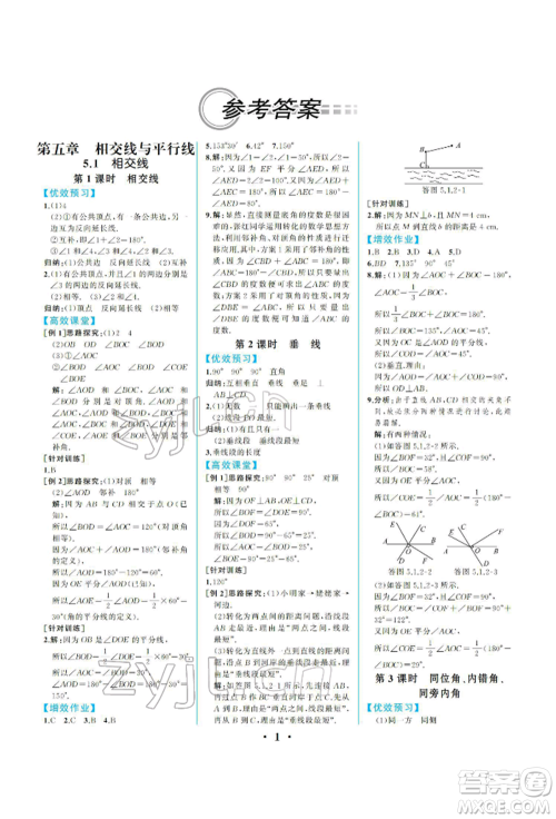 人民教育出版社2022同步解析与测评七年级下册数学人教版重庆专版参考答案