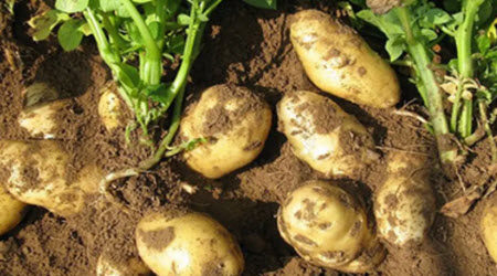 第一次干活的体验作文400字 关于写第一次干活的体验的作文400字 第一次干活的体验作文400字 关于写第一次干活的体验的作文400字