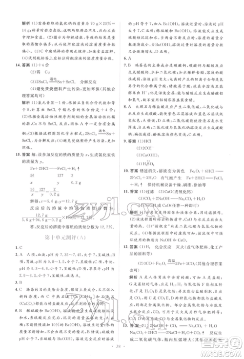 人民教育出版社2022同步解析与测评学考练九年级下册化学人教版参考答案