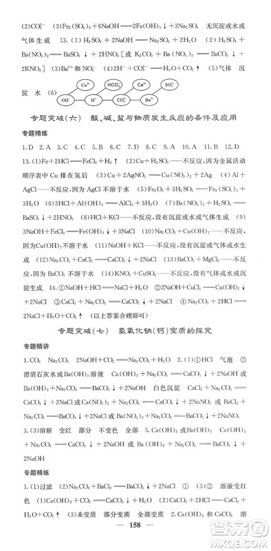 四川大学出版社2022名校课堂内外九年级化学下册RJ人教版答案