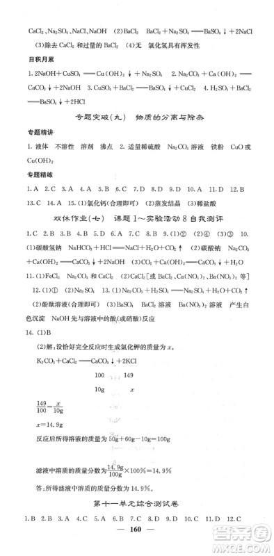四川大学出版社2022名校课堂内外九年级化学下册RJ人教版答案