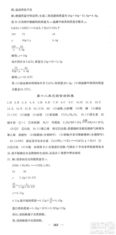 四川大学出版社2022名校课堂内外九年级化学下册RJ人教版答案