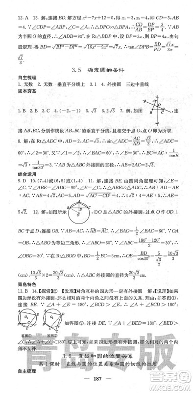 四川大学出版社2022名校课堂内外九年级数学下册BS北师版青岛专版答案
