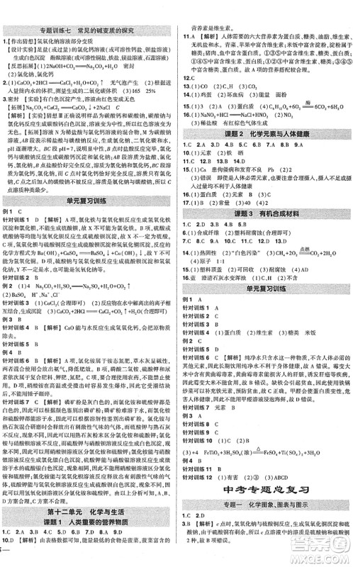 武汉出版社2022状元成才路创优作业九年级化学下册R人教版答案