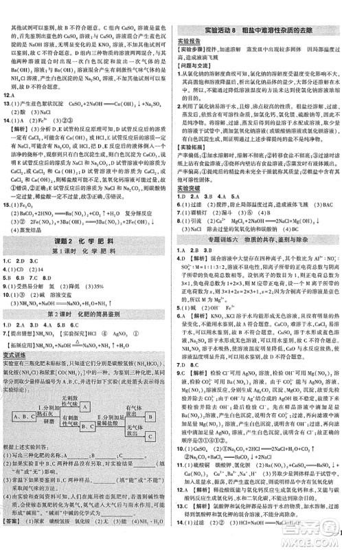 武汉出版社2022状元成才路创优作业九年级化学下册R人教版答案