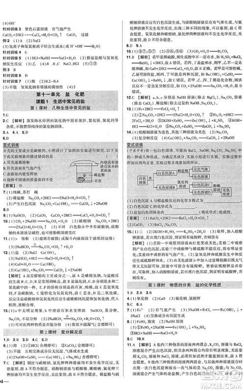 武汉出版社2022状元成才路创优作业九年级化学下册R人教版答案