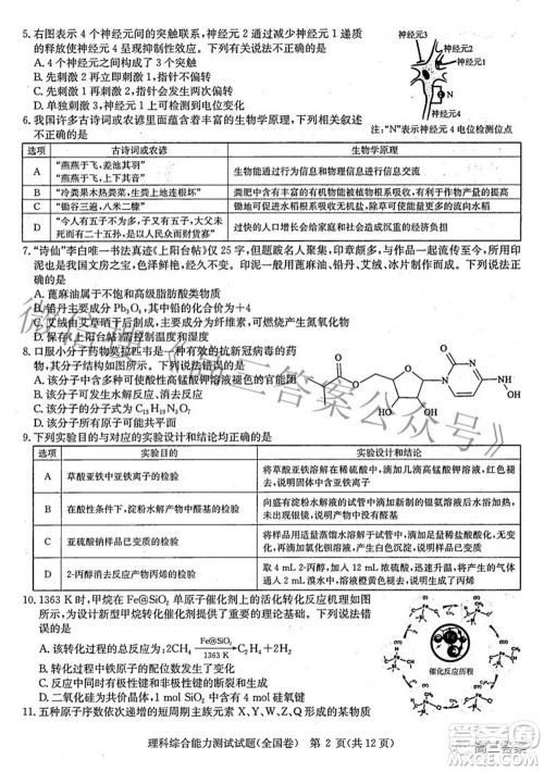 华大新高考联盟2022届高三3月教学质量测评全国卷理科综合试题及答案