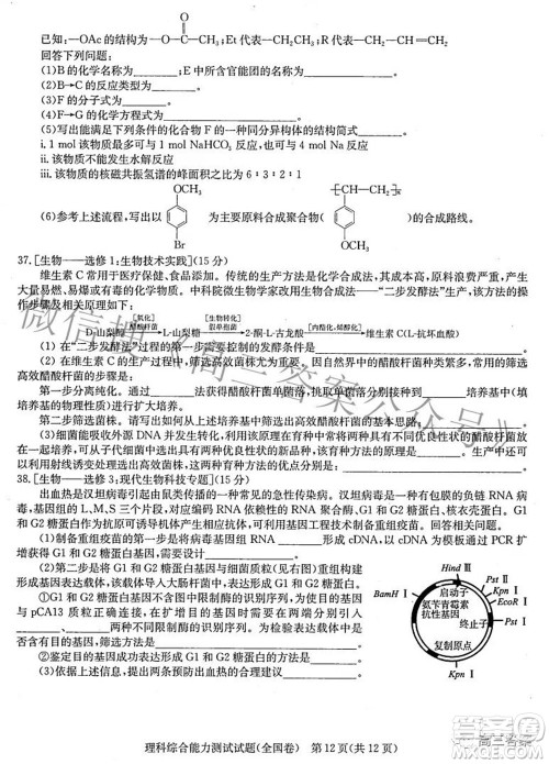 华大新高考联盟2022届高三3月教学质量测评全国卷理科综合试题及答案