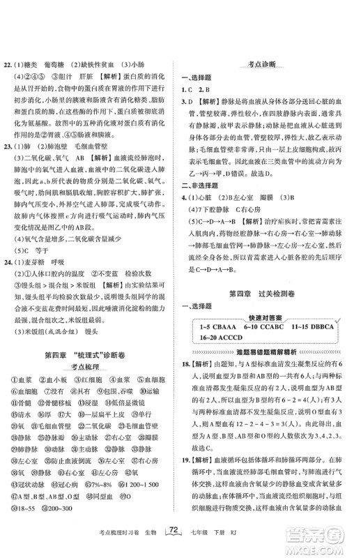 江西人民出版社2022王朝霞考点梳理时习卷七年级生物下册RJ人教版答案 江西人民出版社2022王朝霞考点梳理时习卷七年级生物下册RJ人教版答案