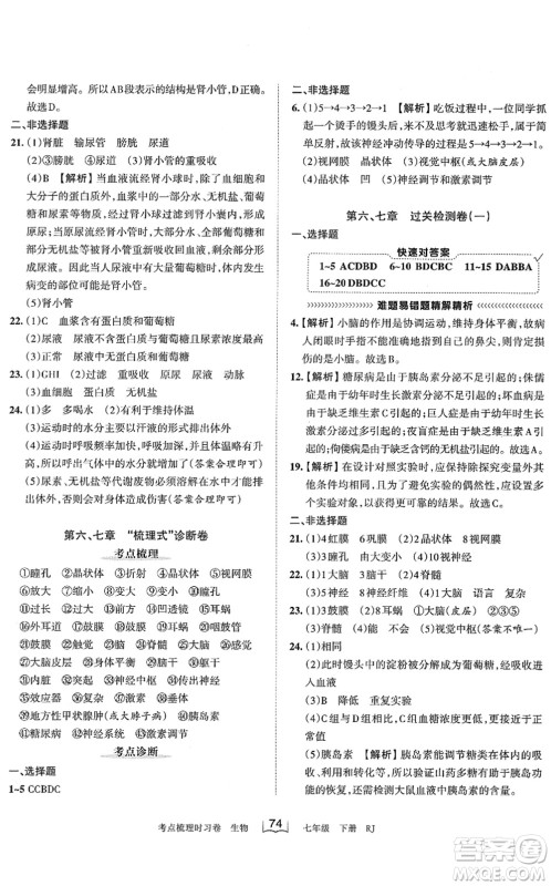 江西人民出版社2022王朝霞考点梳理时习卷七年级生物下册RJ人教版答案