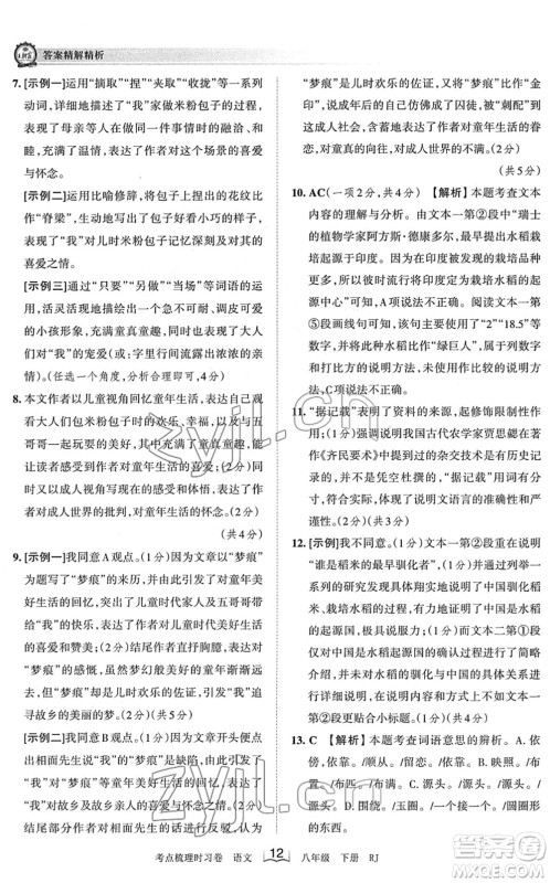 江西人民出版社2022王朝霞考点梳理时习卷八年级语文下册RJ人教版答案 江西人民出版社2022王朝霞考点梳理时习卷八年级语文下册RJ人教版答案