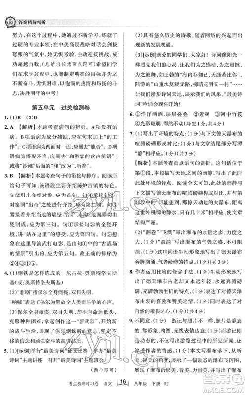 江西人民出版社2022王朝霞考点梳理时习卷八年级语文下册RJ人教版答案 江西人民出版社2022王朝霞考点梳理时习卷八年级语文下册RJ人教版答案