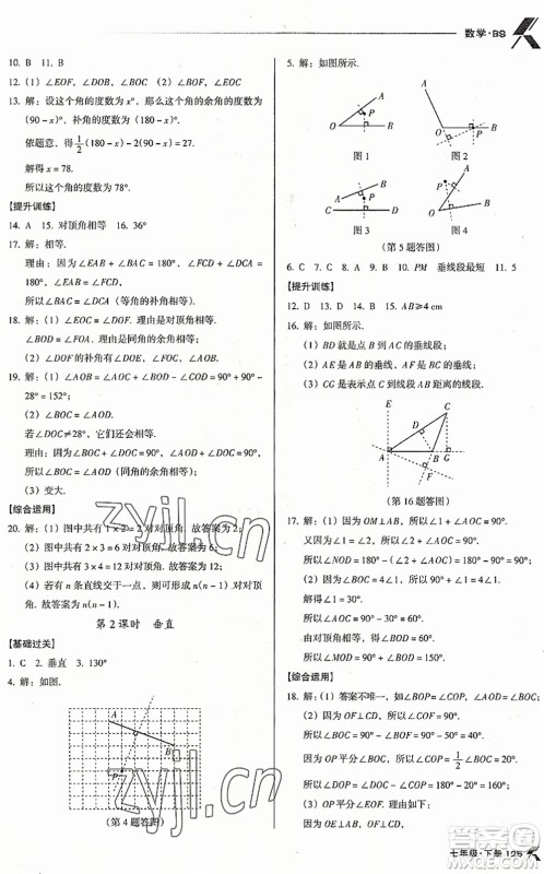 广东经济出版社2022全优点练课计划七年级数学下册BS北师版答案