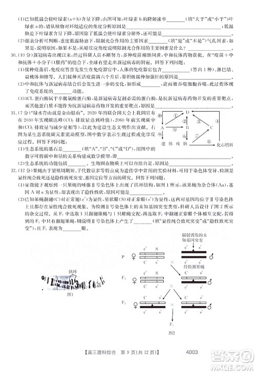 2022金太阳4003联考高三理科综合试题及答案