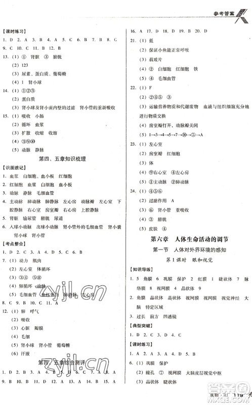 广东经济出版社2022全优点练课计划七年级生物下册RJ人教版答案