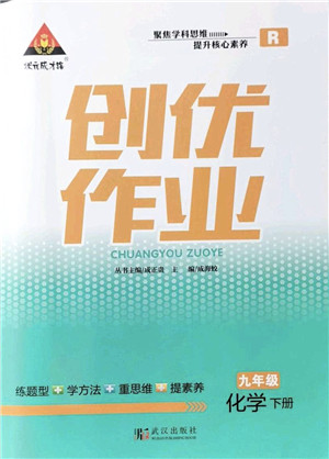 武汉出版社2022状元成才路创优作业九年级化学下册R人教版答案