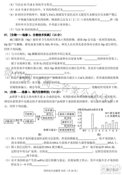 2022年安庆市高考模拟试题二模理科综合试题及答案