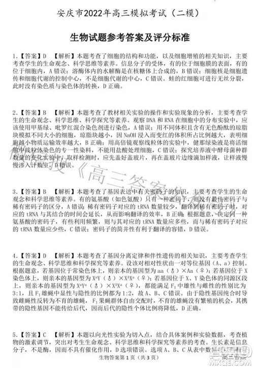 2022年安庆市高考模拟试题二模理科综合试题及答案 2022年安庆市高考模拟试题二模理科综合试题及答案