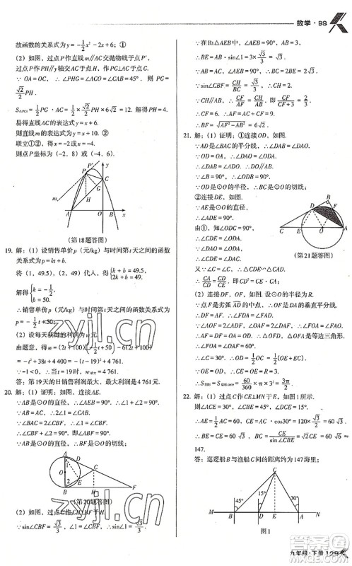 辽海出版社2022全优点练课计划九年级数学下册BS北师版答案