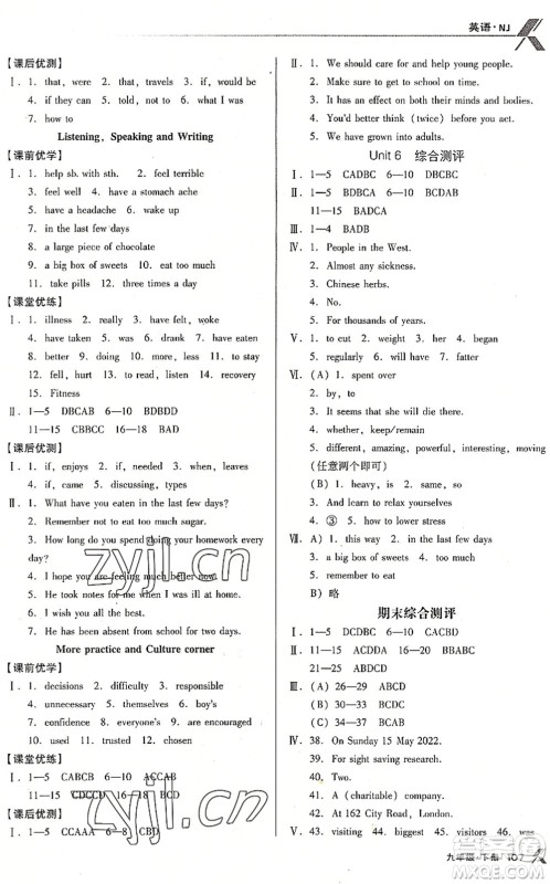 辽海出版社2022全优点练课计划九年级英语下册NJ牛津版答案