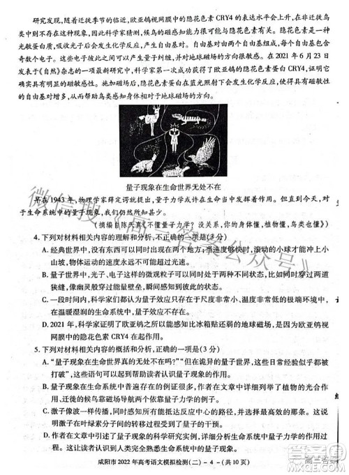 咸阳市2022年高考模拟检测二语文试题及答案 咸阳市2022年高考模拟检测二语文试题及答案
